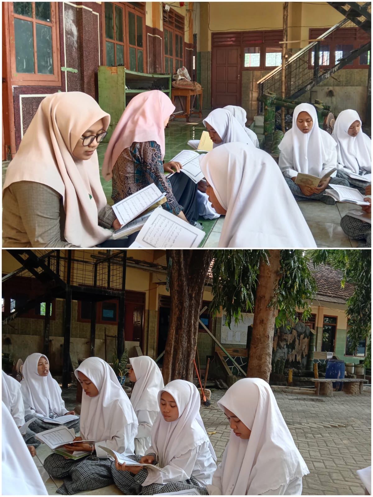 WhatsApp Image 2024 10 15 at 12.20.48